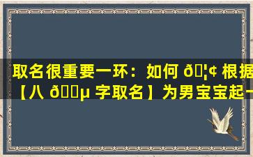 取名很重要一环：如何 🦢 根据【八 🌵 字取名】为男宝宝起一个好名字